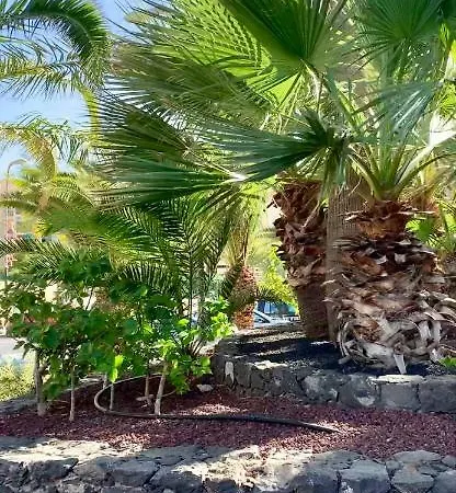 138 Los Angeles, Los Cristianos Close To The Ocean Appartement Los Cristianos (Tenerife)